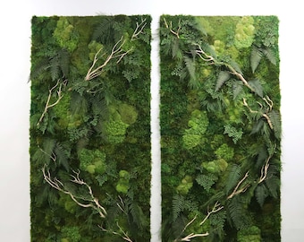 Custom Preserved Moss Wall Art | Living Ferns, Greenery, Biophilic Design