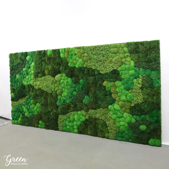 Mixed Moss Wall Art