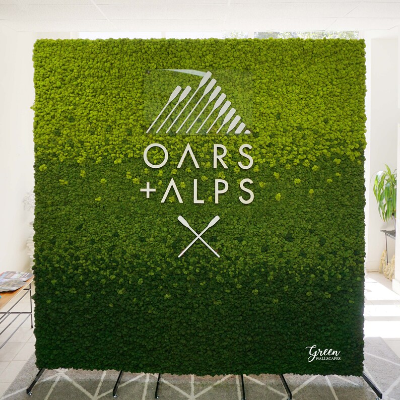 Moss Wall Installation Preserved Moss Wall Art Large Moss Etsy