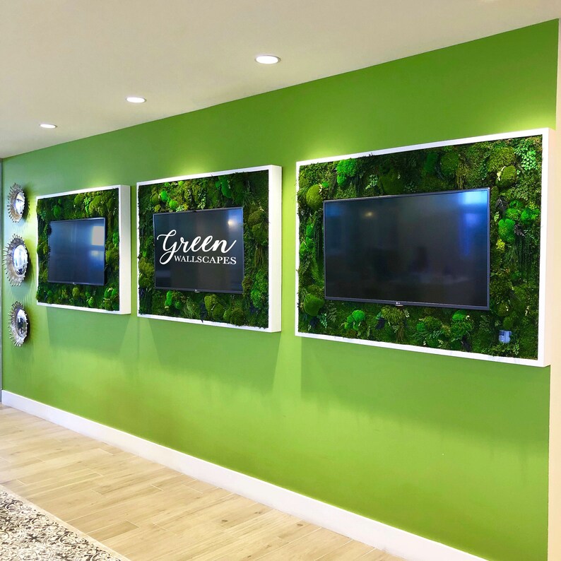 Preserved Moss Wall Art Wall Decor Green Wall Natural Etsy