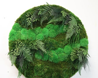  Real Preserved Moss Wall Art with Natural Wood.No Upkeep Needed  Eco-Natural Green Wall Art. Handmade. Forest Scene. Nature Love Round  Shaped 18'' : Home & Kitchen