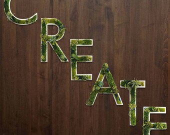 CREATE Succulent and Moss Lettering | Green Wallscapes