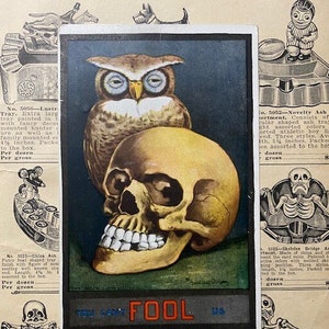 1909 Ullman Mfg. Co. Postcard "You Can't Fool Us" Skull and Owl