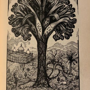 Puede incluir: Ilustraci&oacute;n en blanco y negro de un &aacute;rbol con una gran copa, titulada "TREE OF LIFE". La imagen incluye un edificio, monta&ntilde;as y texto. El texto en la parte superior dice "THE TWELVE FRUITS". El texto inferior dice "Descubierto y dibujado de la naturaleza, a&ntilde;os 3447 (5621)."