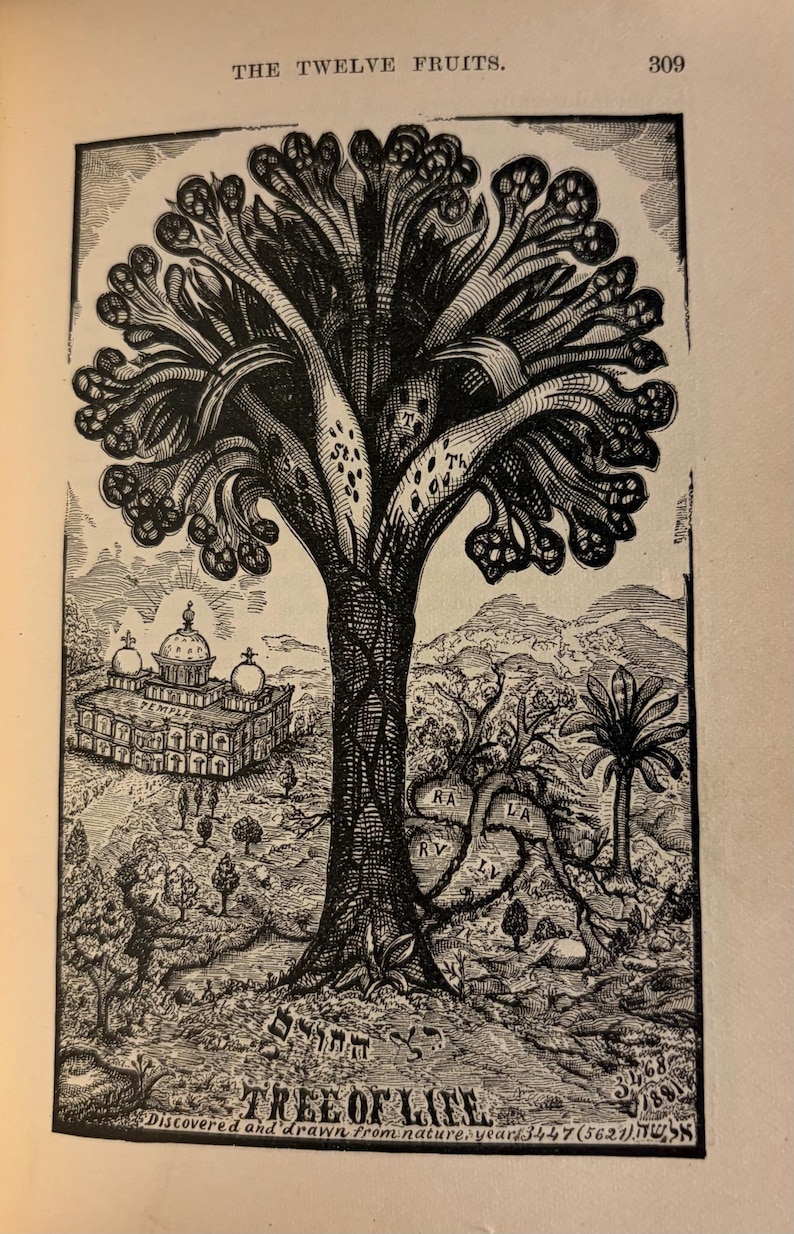 Puede incluir: Ilustraci&oacute;n en blanco y negro de un &aacute;rbol con una gran copa, titulada "TREE OF LIFE". La imagen incluye un edificio, monta&ntilde;as y texto. El texto en la parte superior dice "THE TWELVE FRUITS". El texto inferior dice "Descubierto y dibujado de la naturaleza, a&ntilde;os 3447 (5621)."