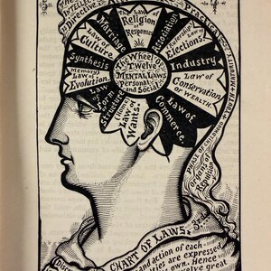 Puede incluir: Ilustraci&oacute;n en blanco y negro de un perfil humano con un diagrama de las "Doce Leyes Mentales" dentro de la cabeza. El diagrama incluye t&eacute;rminos como "Matrimonio", "Industria" y "Comercio". El texto en la parte inferior dice "Chart of Laws".