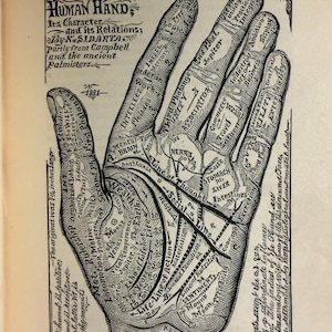 Libro de la vida de Sidartha Vonisa 1884 Frenología Cerebro Rasgos de carácter Tapa dura Ilustrado imagen 2