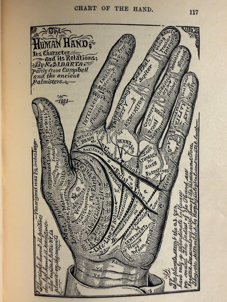 Libro de la vida de Sidartha Vonisa 1884 Frenología Cerebro Rasgos de carácter Tapa dura Ilustrado imagen 2