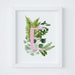 see more listings in the Botanical Letters section