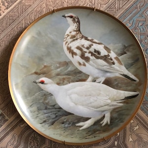 Vintage Limoges Porcelain Plate &quot;Ptarmigan&quot; Series &quot;Game Birds Of The World&quot;
