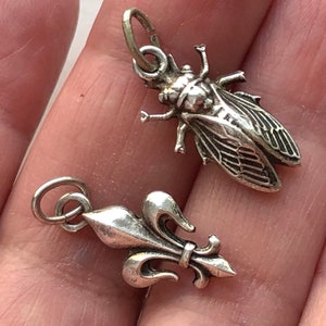 May include: Two silver charms, one shaped like a cicada and the other a fleur-de-lis.