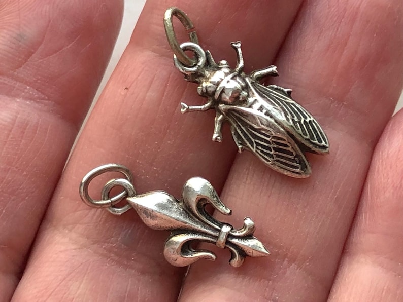 May include: Two silver charms, one shaped like a cicada and the other a fleur-de-lis.