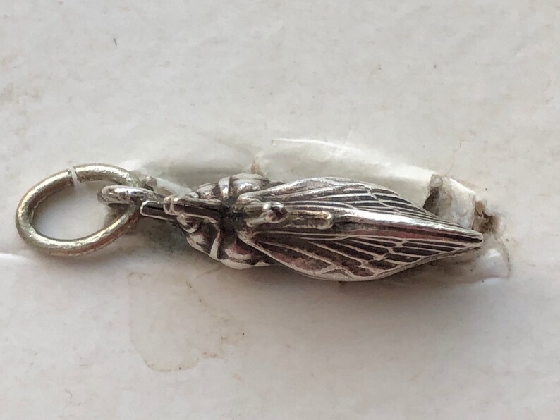 May include: Silver charm in the shape of a cicada with a loop for attaching to a bracelet or necklace.