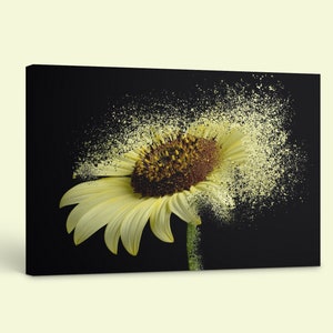 Sunflower printed on Canvas, Abstract Sunflower Print,  Sunflower, Wall Print, Home Decor, Sunflower on Canvas, Canvas, Home, Flower Canvas