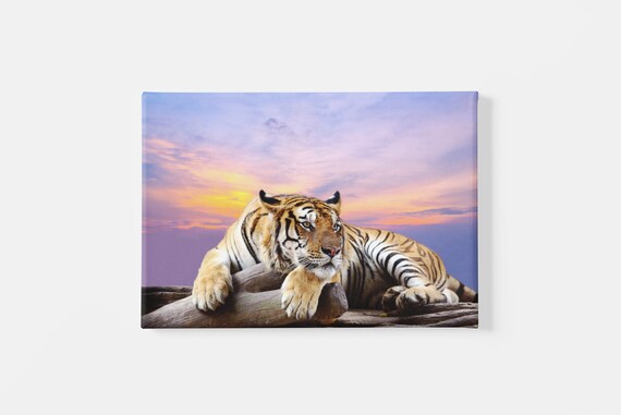Tiger Canvas Wall Art Tiger Print on Canvas Big Cat Home Decor