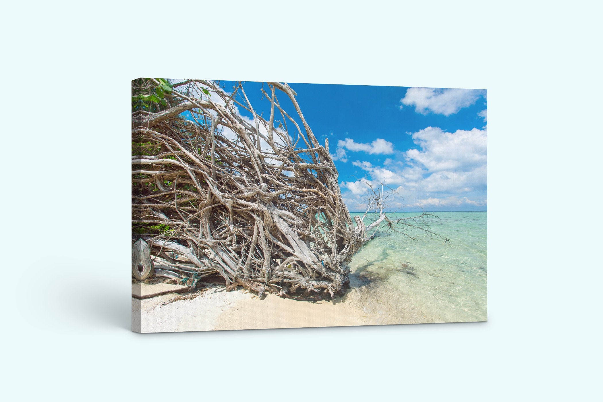 Print on Canvas Driftwood on Beach Canvas Print Rocks Sand Etsy