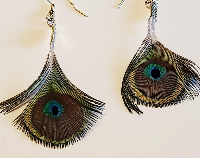 Genuine Peacock Feather Earrings