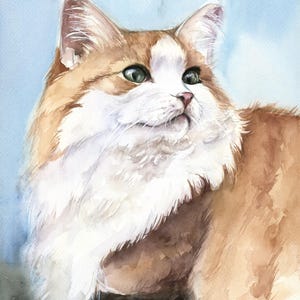 May include: A watercolor painting of a long-haired cat with orange and white fur. The cat has green eyes, a pink nose, and white whiskers, looking toward the right. The background is a soft, light blue wash, highlighting the cat's features.