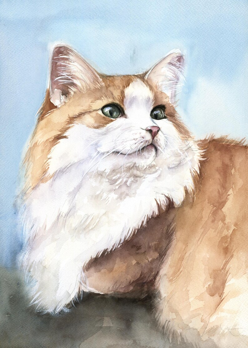 May include: A watercolor painting of a long-haired cat with orange and white fur. The cat has green eyes, a pink nose, and white whiskers, looking toward the right. The background is a soft, light blue wash, highlighting the cat's features.