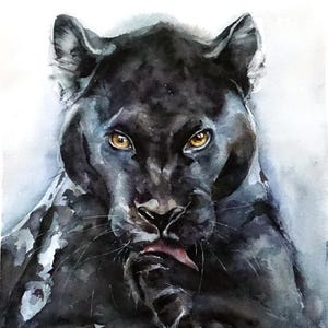 May include: A watercolor painting of a black panther with piercing amber eyes, shown from the chest up. The panther is grooming its paw with a pink tongue, rendered in deep black and charcoal tones with soft, blended edges on a white background.