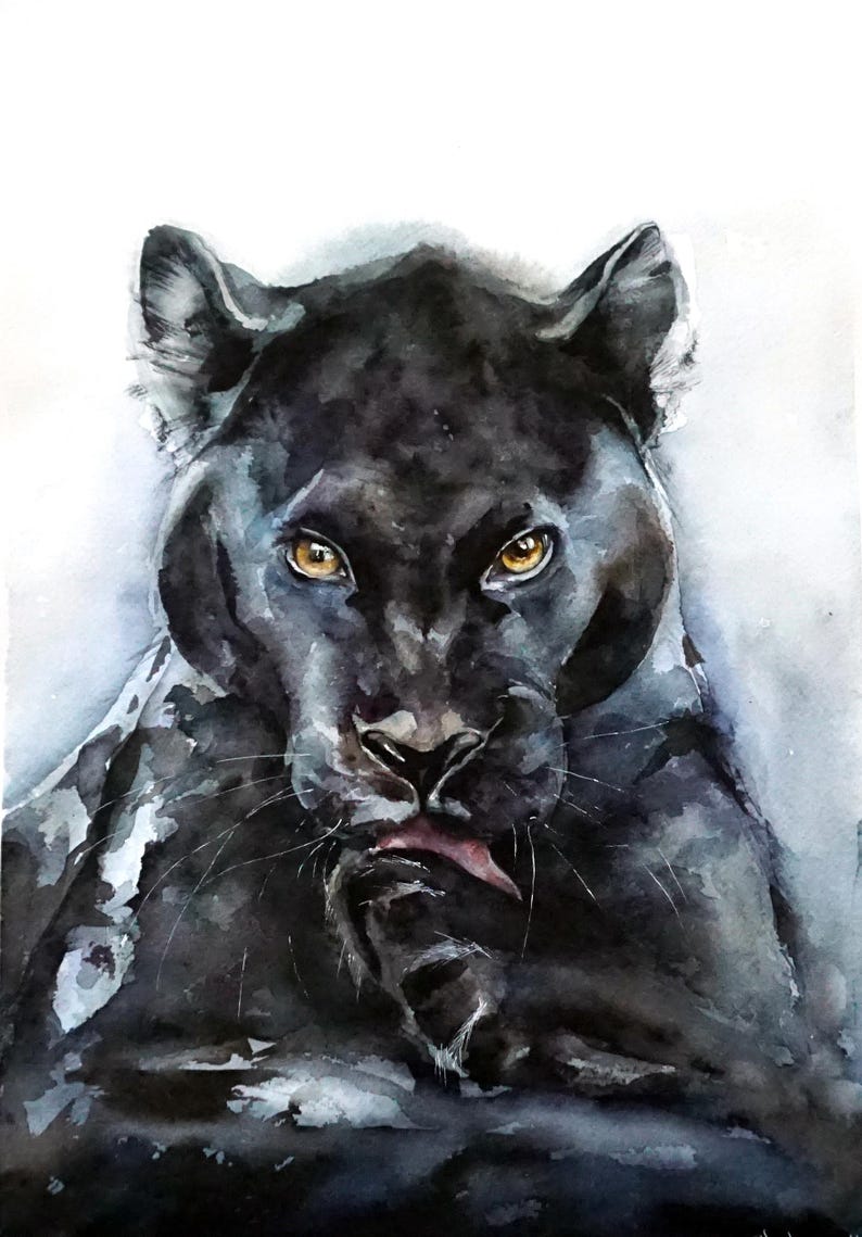 May include: A watercolor painting of a black panther with piercing amber eyes, shown from the chest up. The panther is grooming its paw with a pink tongue, rendered in deep black and charcoal tones with soft, blended edges on a white background.