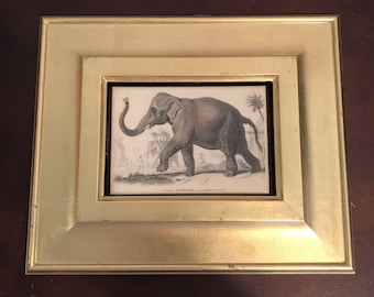 Goudkleurige 19e-eeuwse muurkunst met olifantenprint