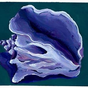 May include: A painting of a seashell in shades of purple and white against a dark teal background. The seashell is the focal point, with detailed brushstrokes capturing its texture and form. The artist's name, Hayley Osmon, is visible in the bottom right corner.