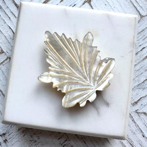 May include: A decorative leaf, carved from a pearlescent material, with intricate veining. The leaf is placed on a white, square marble tile. The leaf's edges are scalloped, creating an elegant, natural aesthetic.