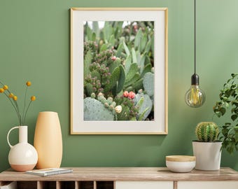 Cactus en ciernes, Costa Central de California, Primavera Rosa, Verde
