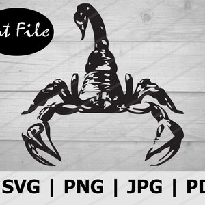 Abstract Scorpion Silhouette SVG Cut File for Cricut, Scorpion PNG Transfer Sublimation, Scorpio Clip Art, Vinyl Engraving, Shirt Graphic