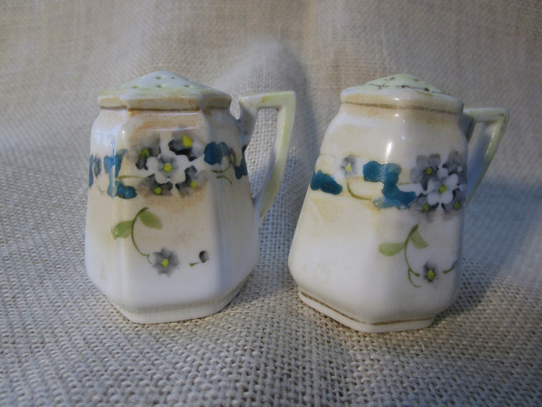 Vintage Hand Painted Nippon Salt and Pepper Shaker Set Etsy