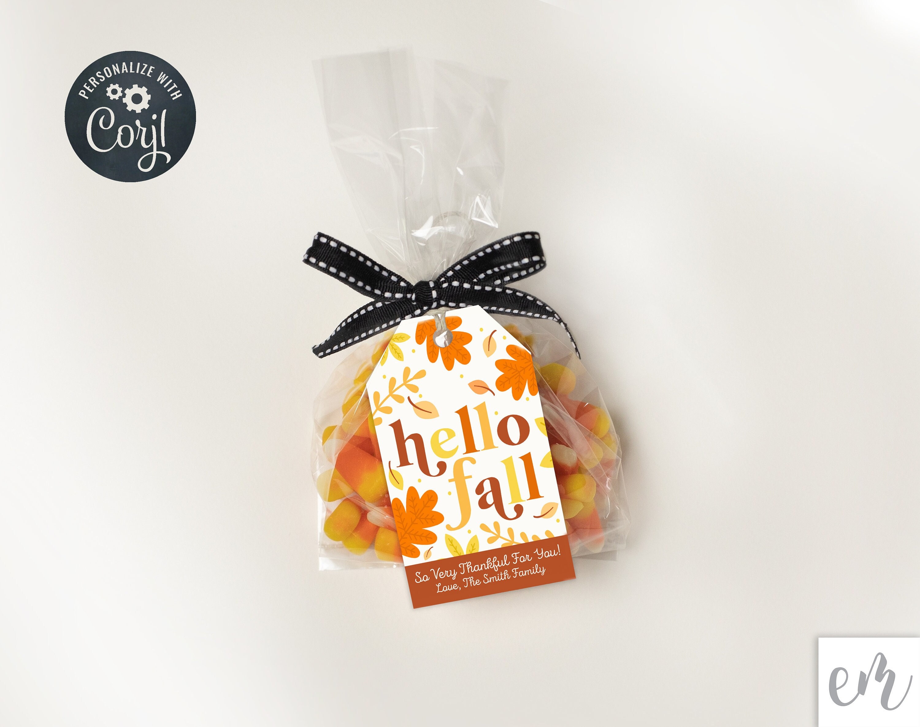 Discover more than 63 fall treat bags best - in.duhocakina