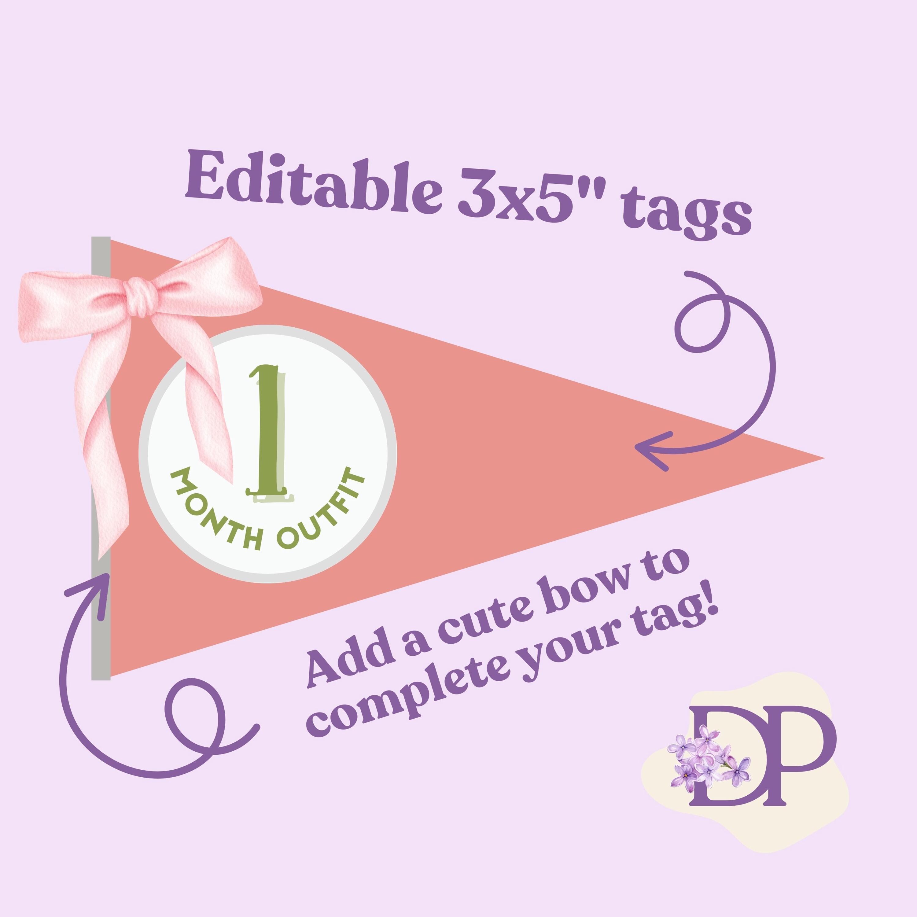 Editable Monthly Milestone Tags | 1-12 Months | Editable Baby Clothing ...