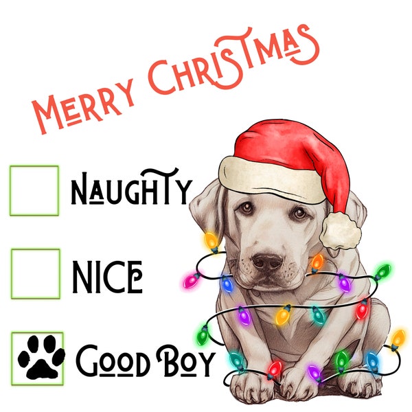 Naughty or Nice Good Boy Christmas Check list.