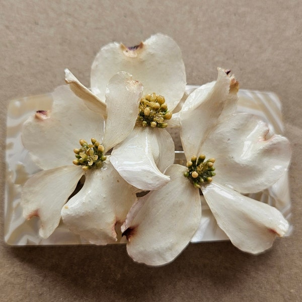 Dogwood Flower Hair Clip, Wedding, REAL Flowers Preserved in Resin
