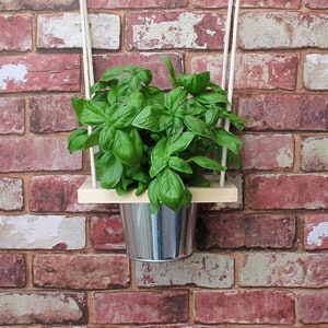 May include: A hanging planter with a wooden shelf and a metal pot filled with green basil plants against a red brick wall background.