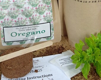 Grow Your Own Herb Oregano, Grow Kit,  Gardening, Stocking Stuffers, Party Bags