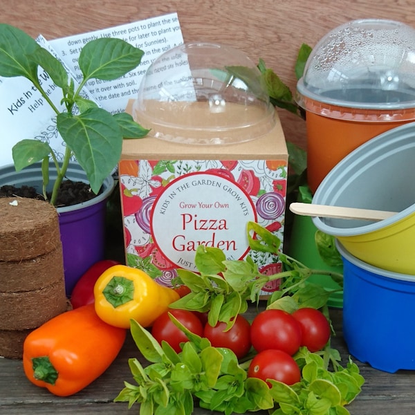 Grow Your Own Pizza Garden, Kids Grow Kit, Wildlife, Birds, Bees, Gardening, Seed Kit
