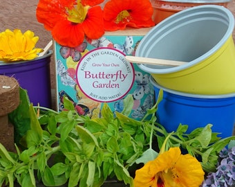 Grow Your Own Butterfly Garden, Gift, Grow Kit, Kids Crafts, Seed Kit