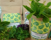 Grow Your Own Lemon Balm, Grow Kit, Herbs and Spices, Gardening, Stocking Stuffers, Party Bags