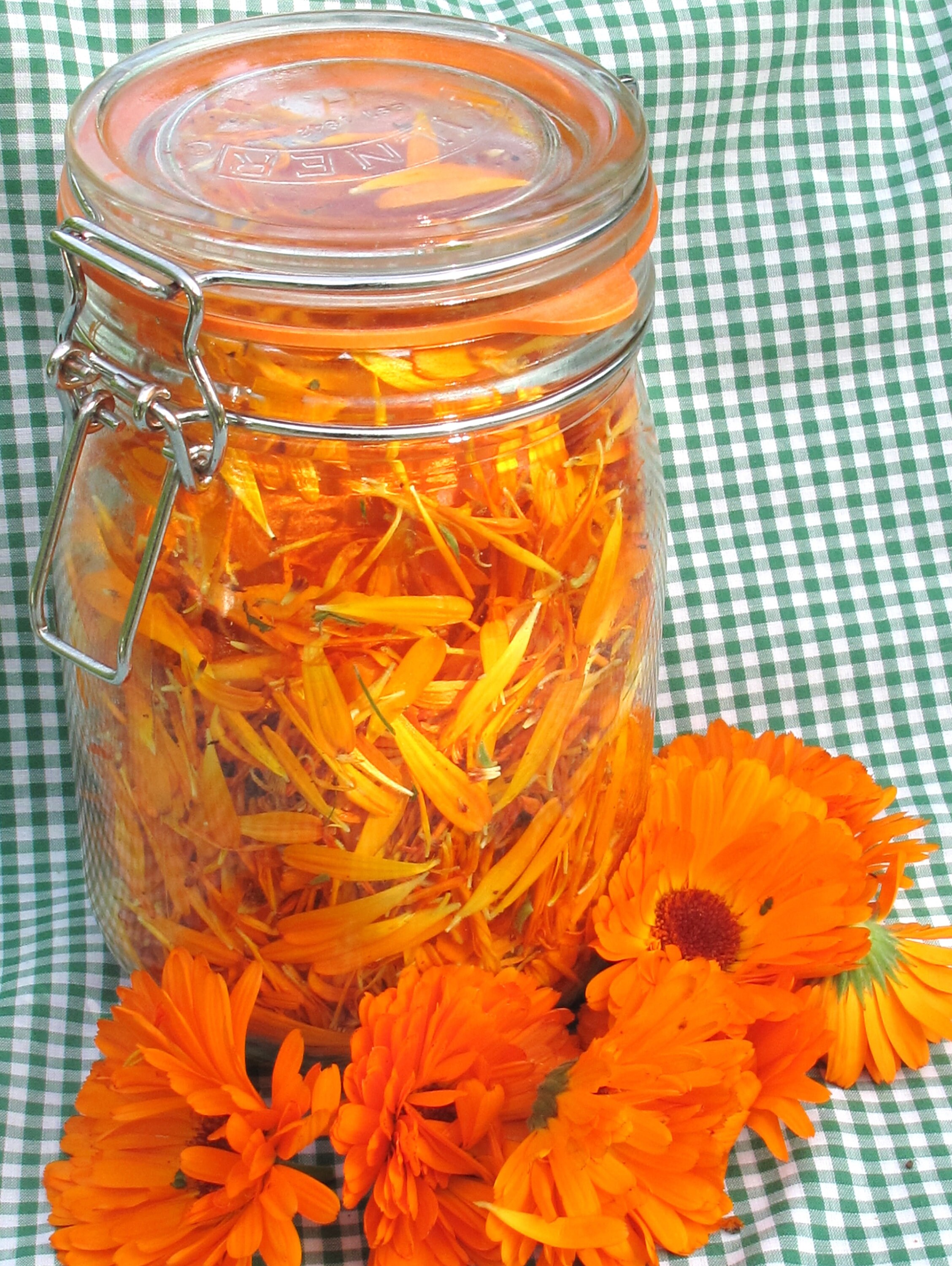 Grow Your Own Herbal Tea Garden Gardening Seed Kit Grow Kit Etsy UK