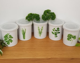 Spice Jars, Set of 5 Herb Jars