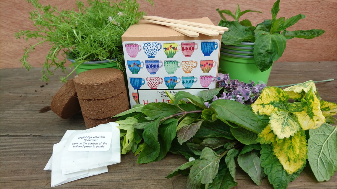 Grow Your Own Herbal Tea Garden Gardening Seed Kit Grow Kit Etsy UK