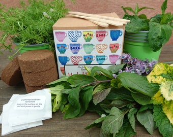 Grow Your Own Herbal Tea Garden, Gardening, Seed Kit, Grow Kit, Mother's Day