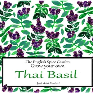 Grow Your Own THAI BASIL, Grow Kit,  Herbs and Spices, Gardening,  Party Bags