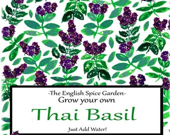 Grow Your Own THAI BASIL, Grow Kit,  Herbs and Spices, Gardening,  Party Bags