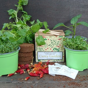Grow Your Own Curry Garden, Curry Kit, Grow Kit, Herbs and Spices, Gardening, Gift image 1