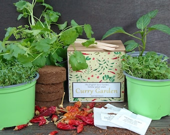 Grow Your Own Curry Garden, Curry Kit, Grow Kit, Herbs and Spices, Gardening, Gift