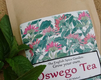 Grow Your Own Herb Oswego Tea, Grow Kit,  Herbs and Spices, Gardening, Stocking Stuffers, Party Bags, Herb Tea, Mothers Day Gift