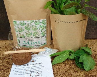 Grow Your Own MINT, Grow Kit,  Herbs and Spices, Gardening, Stocking Stuffers, Party Bags